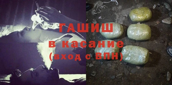 прущие грибы Бородино