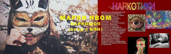 дмт Карпинск