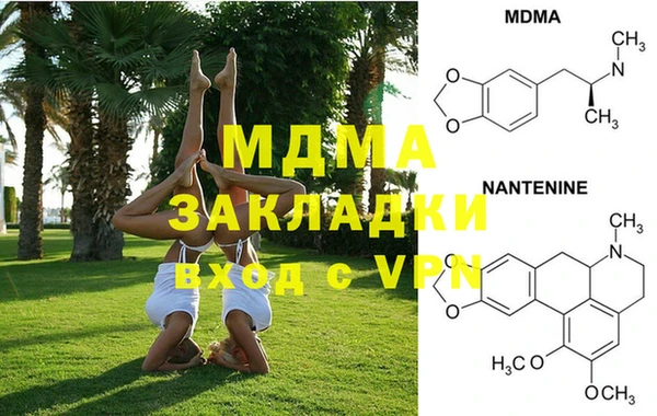 прущие грибы Бородино
