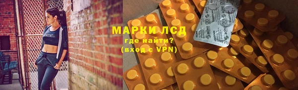прущие грибы Бородино