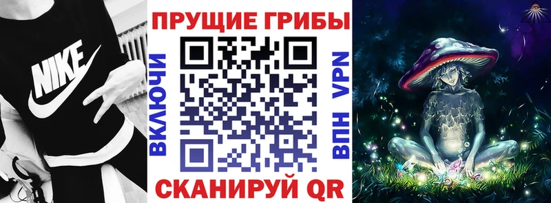 Псилоцибиновые грибы Psilocybine cubensis  наркота  Гулькевичи 